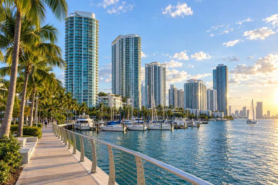 Waterfront promenade with palm trees and a railing beside a bay, a marina of white boats and several tall glass residential towers rising against a blue sky with scattered clouds in warm late light